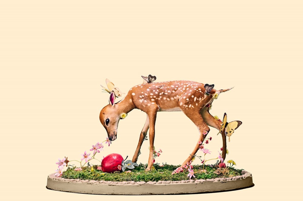 taxidermied fawn stands on grass and bends down toward flower and apple while butterflies alight on parts of its body